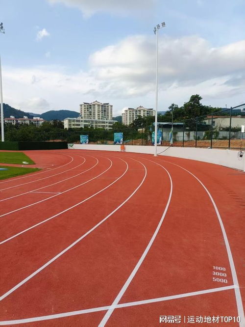 2025年塑膠跑道十大品牌排行榜 告別選擇困難，科學(xué)甄選優(yōu)質(zhì)生產(chǎn)商